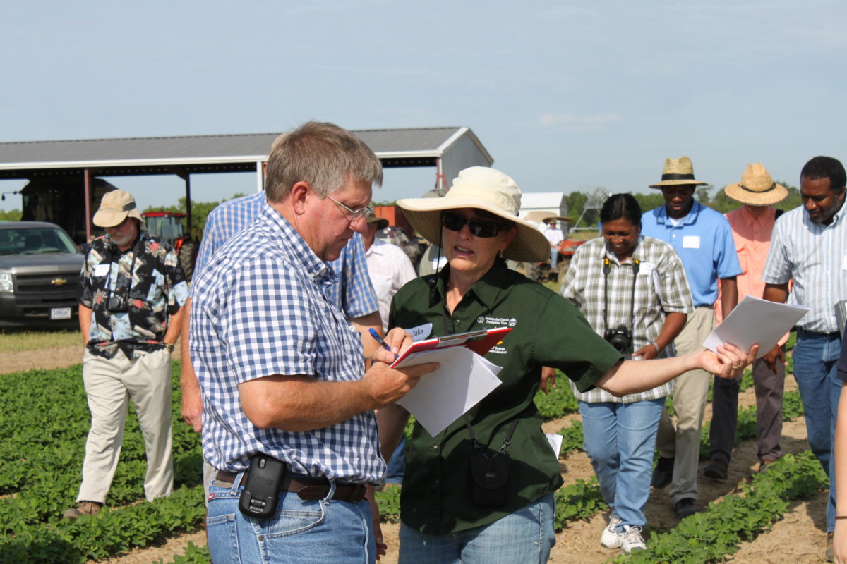 Organic weed management field day